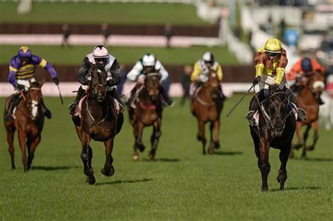 grand national 2024 latest odds|Grand National 2024 runners, riders and odds .